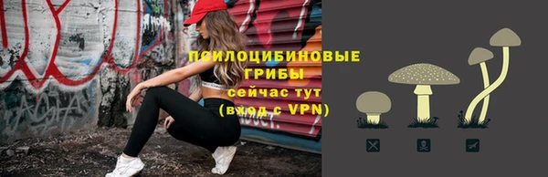 ГАЛЛЮЦИНОГЕННЫЕ ГРИБЫ Коряжма