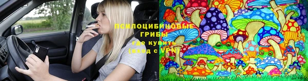 мет Корсаков