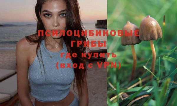 мдма Козельск