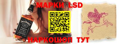 шишки Заволжье
