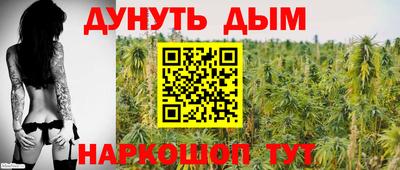 шишки Заводоуковск