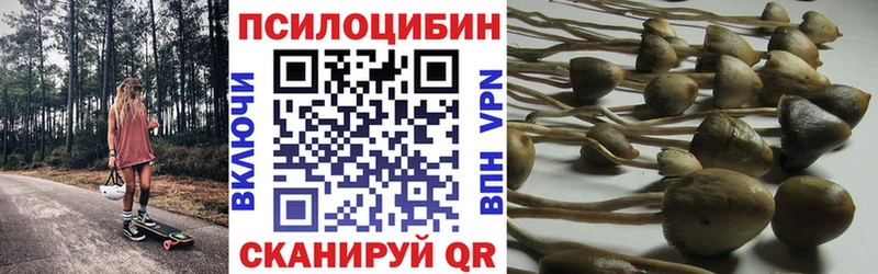 купить наркотик  Кызыл  ОМГ ОМГ сайт  Псилоцибиновые грибы Psilocybine cubensis 
