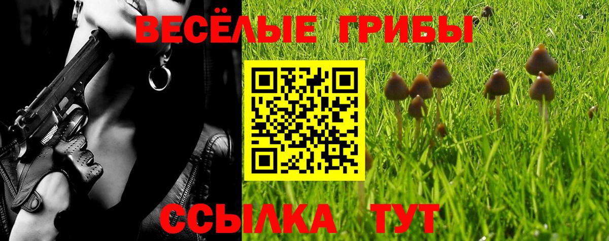 Галлюциногенные грибы мухоморы  Вход с VPN  Кызыл 