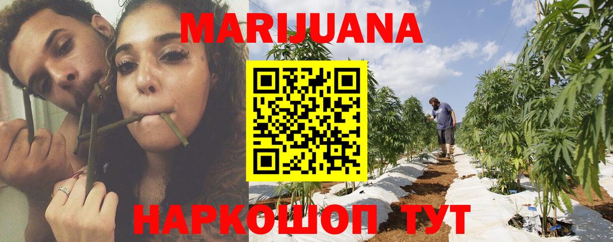 Канабис гибрид Кызыл